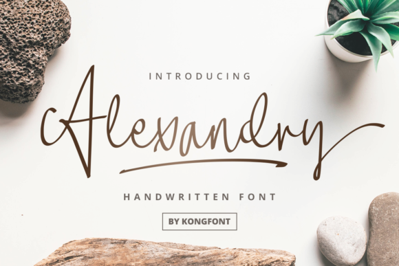Alexandry Font: Playful Handwritten Script for Small Business Branding