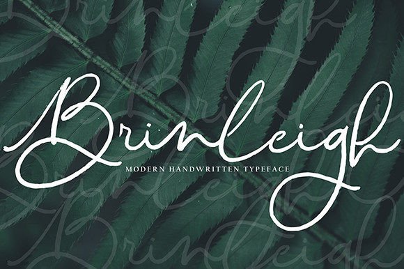 Brinleigh: A Script Handwritten Font for Thoughtful Editorial Moments