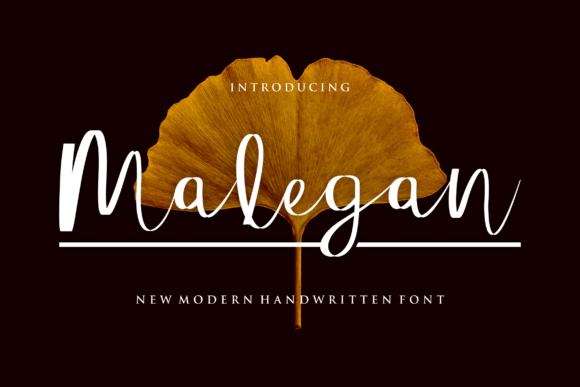 Malegan: An Elegant Script Font for Real Brand Upgrades