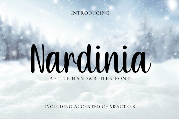 Nardinia: A Romantic Script Handwritten Font for Editorial Design