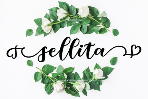 Sellita Script Font for Polished Branding