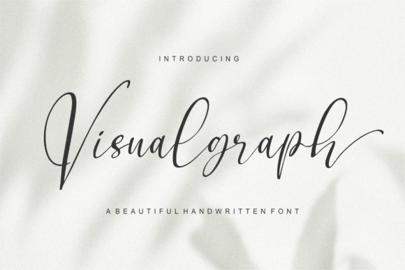 Visualgraph: A Dainty Script Font for Elegant Digital Branding